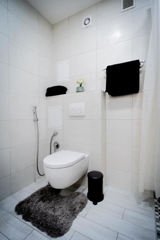 Апартаменты Memel Old Town Apartment Клайпеда-51